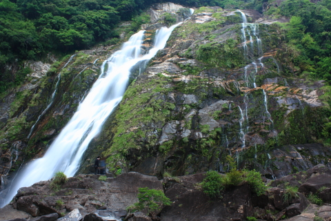 d0077811_1155528.jpg
