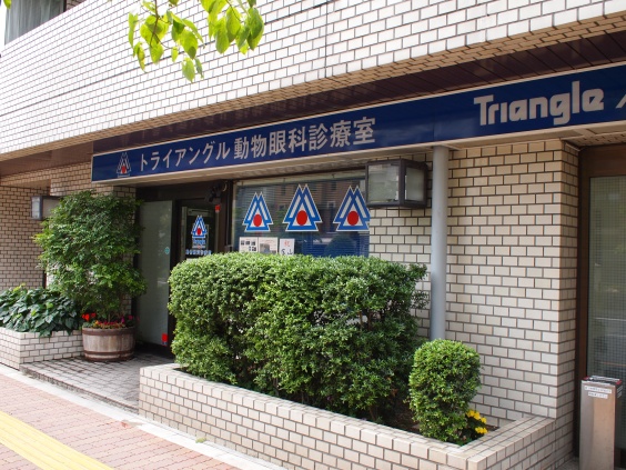 e0005411_9151931.jpg