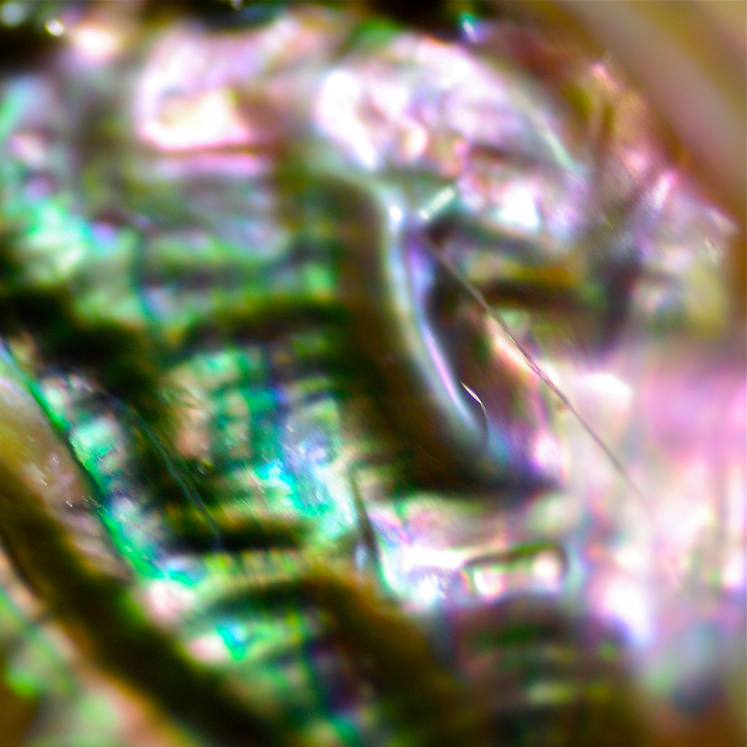e0142611_1949597.jpg