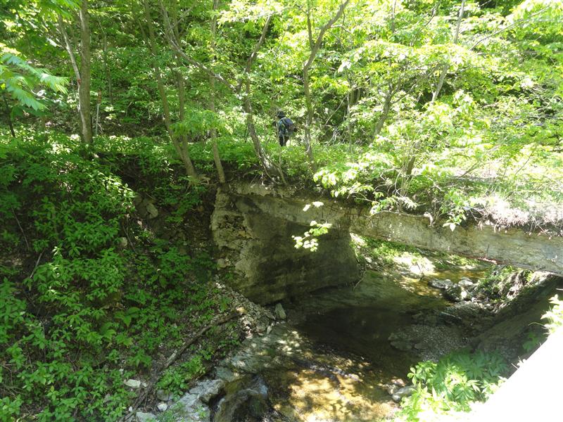 a0127015_7342490.jpg