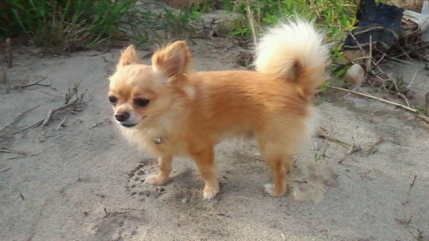 f0227120_16533744.jpg