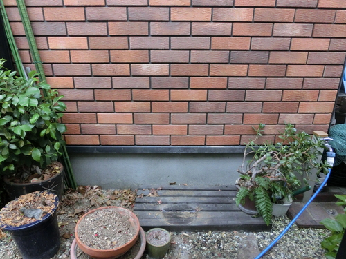 e0179321_1536772.jpg