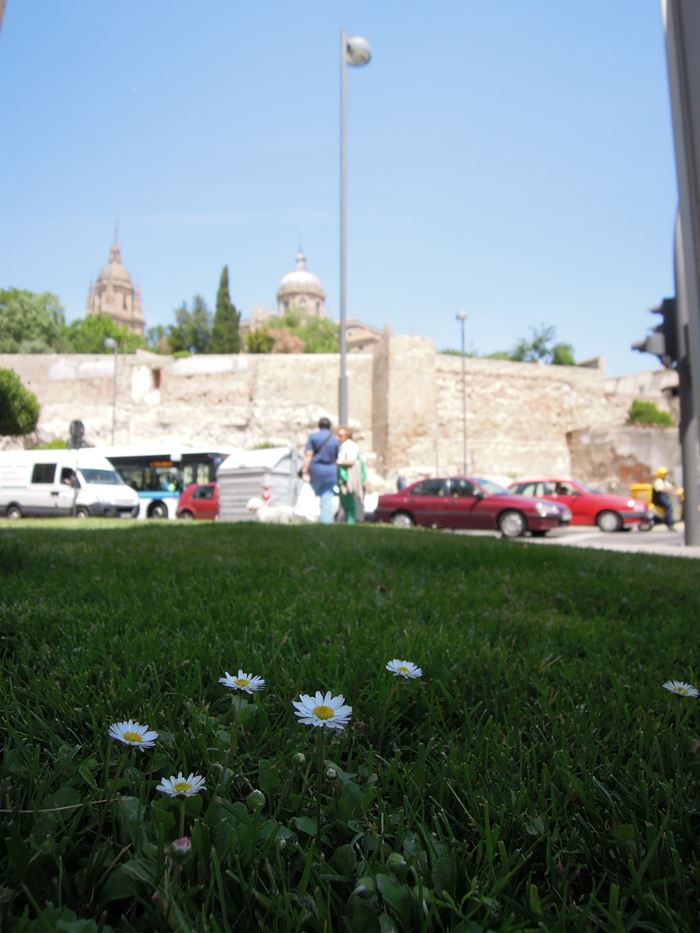 b0246322_32118.jpg