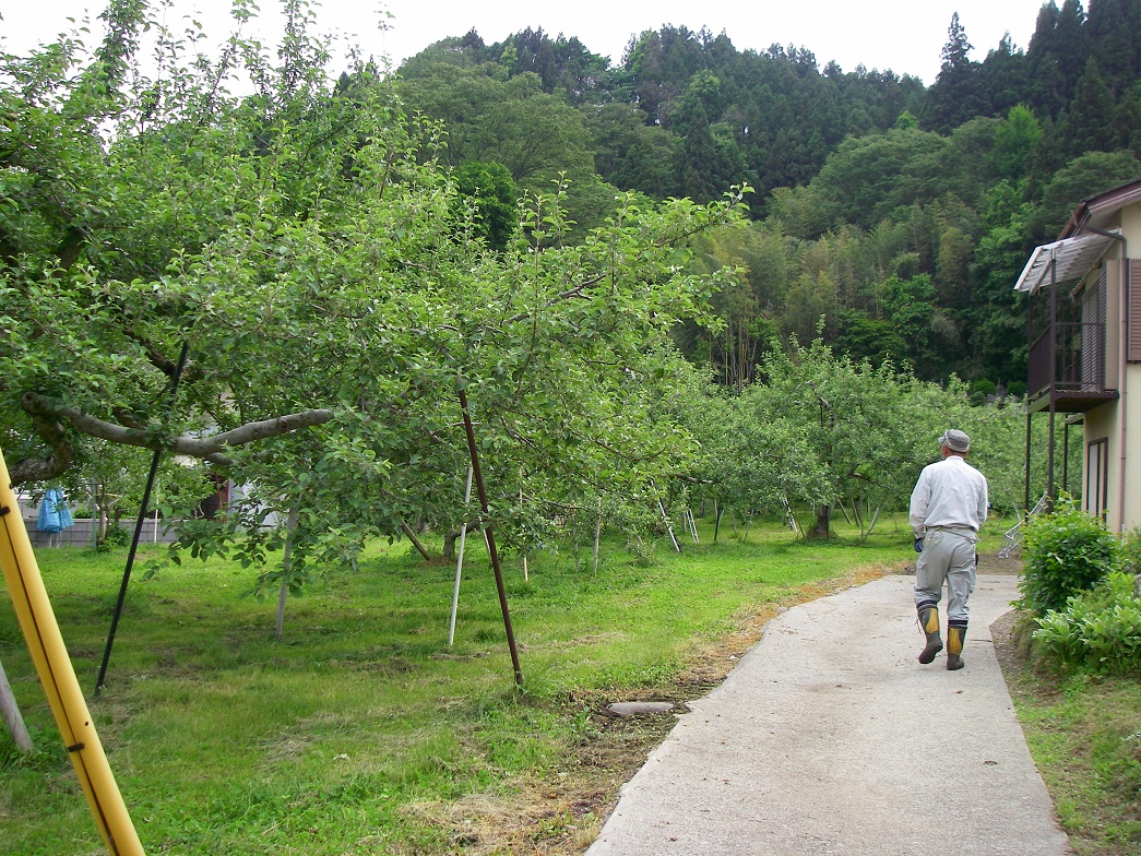 b0062024_20015100.jpg