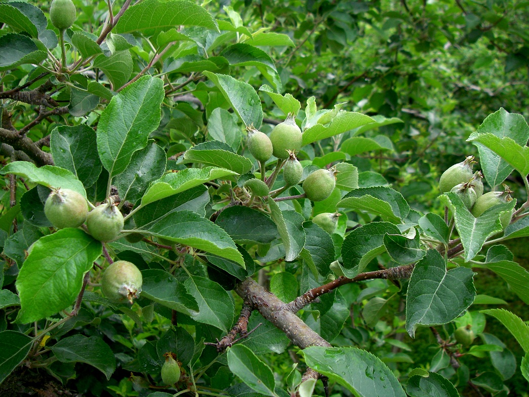 b0062024_2055956.jpg