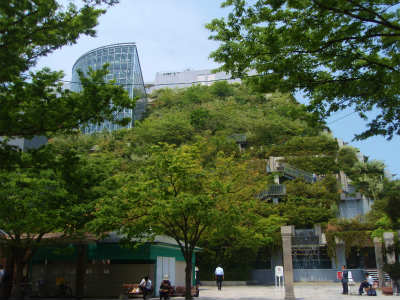 b0008825_1944823.jpg