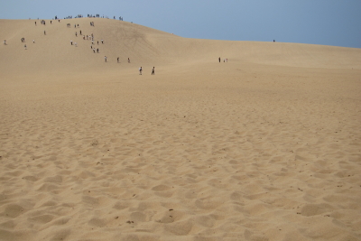 e0133025_20421736.jpg