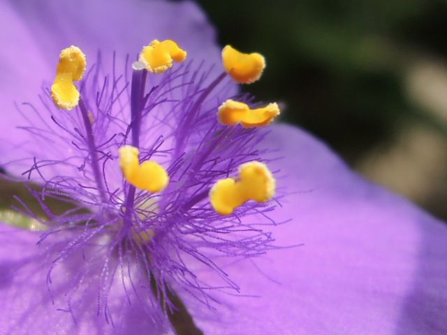 f0229926_1263554.jpg