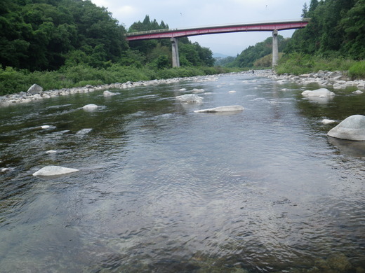 d0172227_6214683.jpg