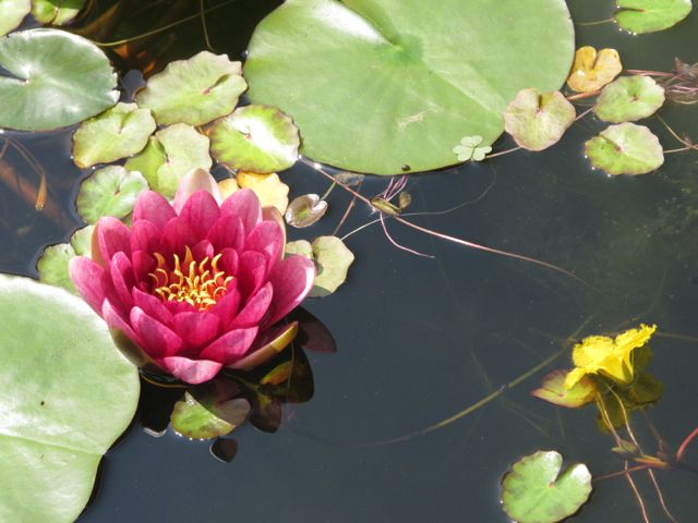 c0019131_1550032.jpg