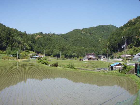 a0243432_1415945.jpg