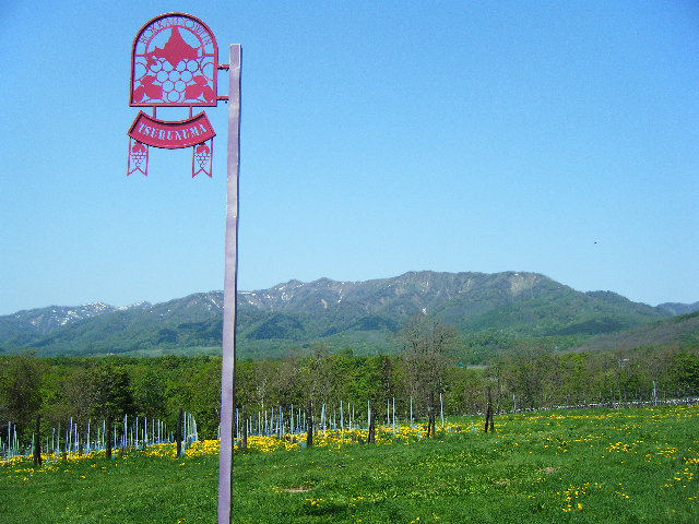 f0096232_16522751.jpg