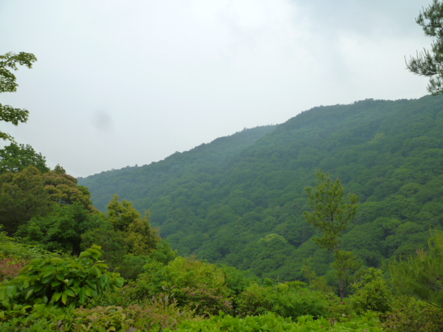 d0106134_10421555.jpg