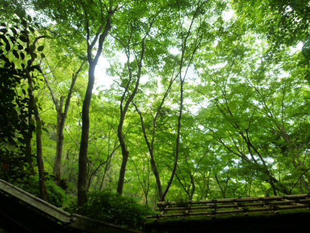d0106134_10424778.jpg