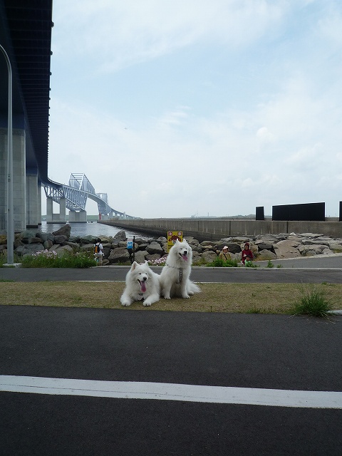 e0196135_2115831.jpg