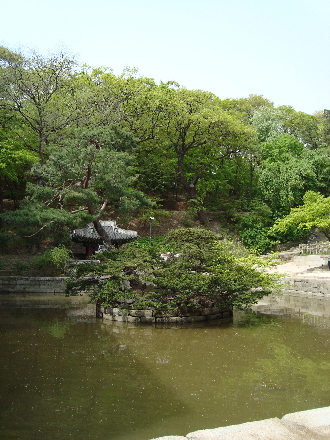 c0155539_12414024.jpg