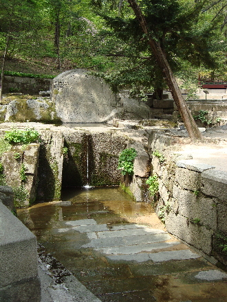 c0155539_1317252.jpg