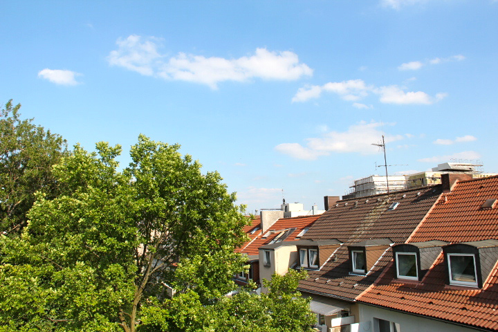 c0153740_20101468.jpg