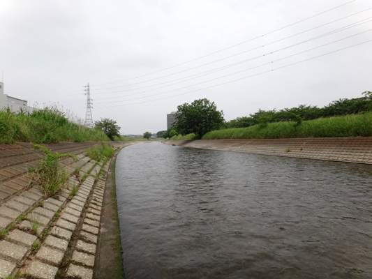 e0119840_2026048.jpg