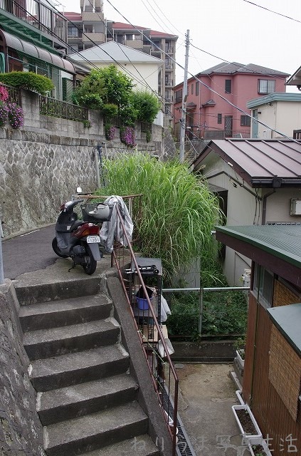 a0009142_7525292.jpg