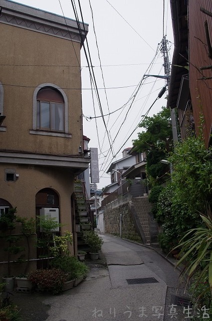 a0009142_7571885.jpg