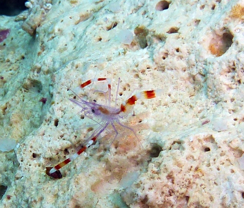 f0014842_1832877.jpg