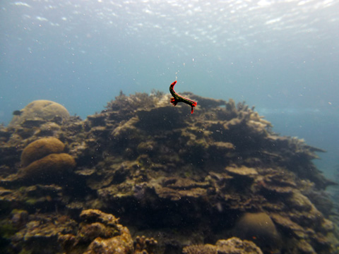 f0014842_18481437.jpg