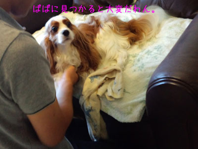 a0120944_12434070.jpg