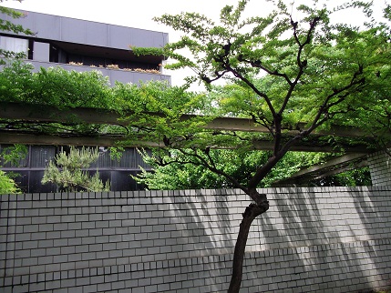 e0248844_11331415.jpg