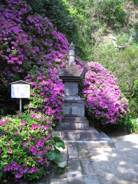 b0032346_1344284.jpg