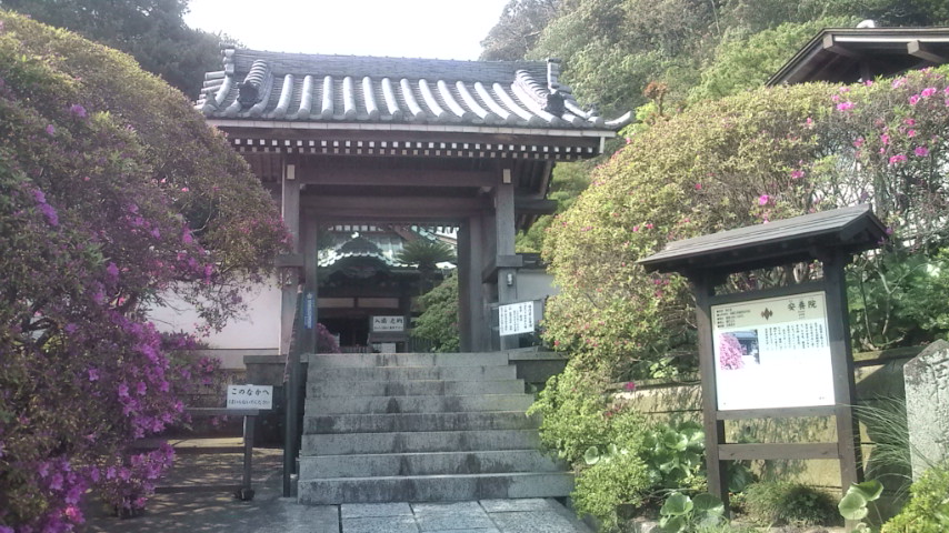 b0032346_1347525.jpg