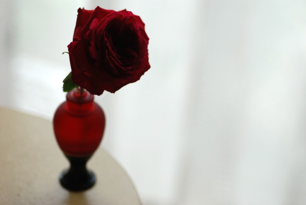 e0009147_8595995.jpg
