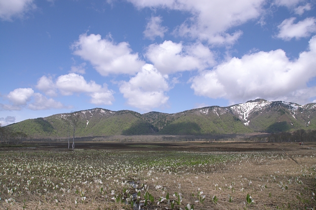 b0122448_10355791.jpg