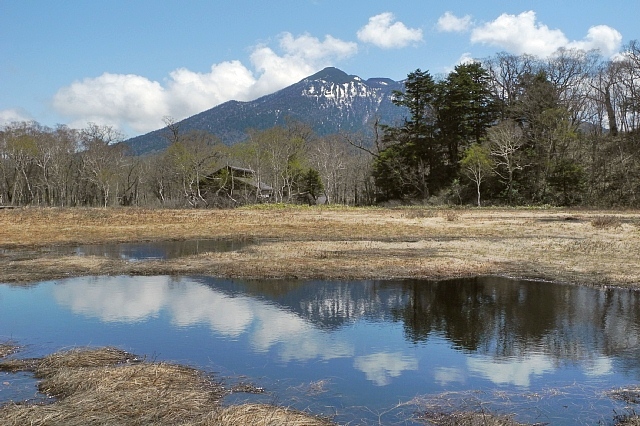 b0122448_10465138.jpg