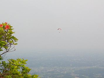 b0220251_6485050.jpg