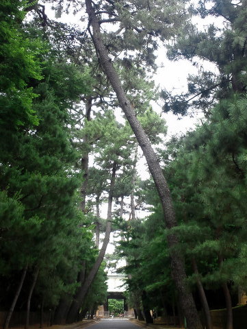 b0208756_1315016.jpg