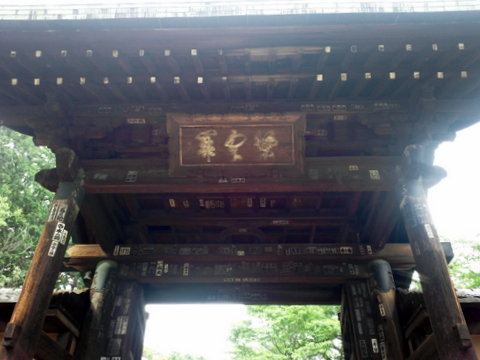 b0208756_1323031.jpg