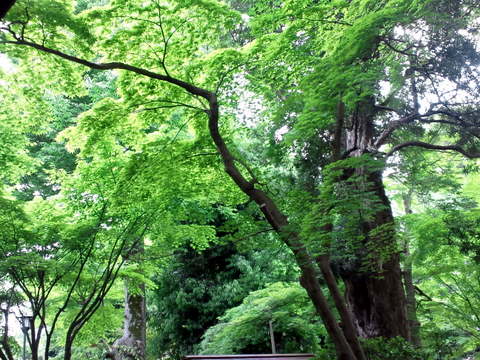 b0208756_138586.jpg
