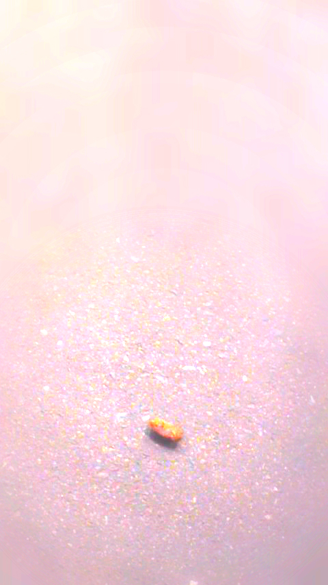 c0185657_14103687.jpg