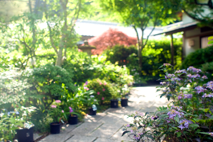 f0176458_1531178.jpg