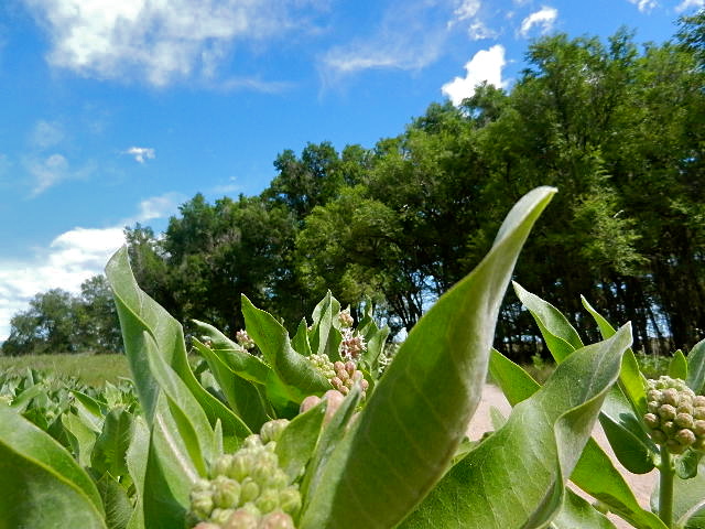 b0207361_5113924.jpg