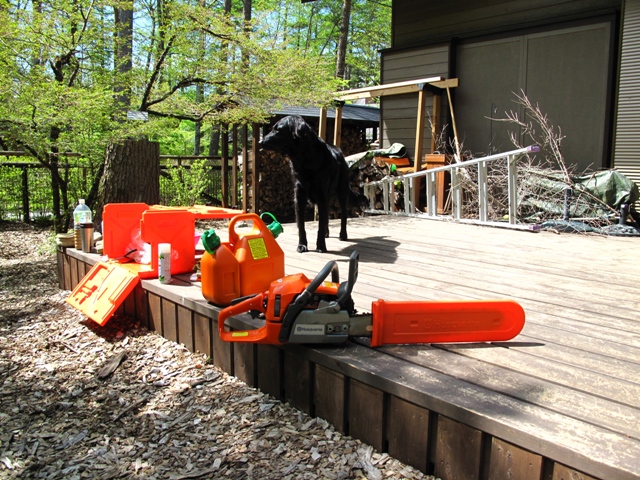 c0134862_9422041.jpg