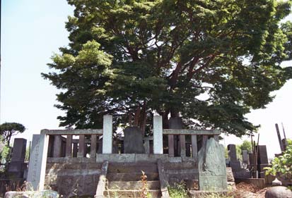 e0018762_156255.jpg