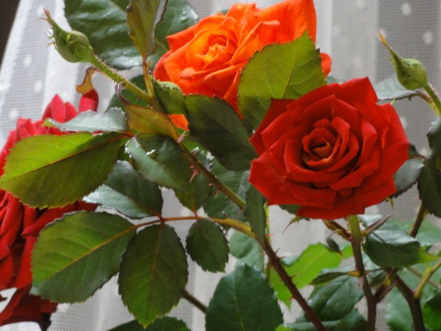 b0116765_092719.jpg