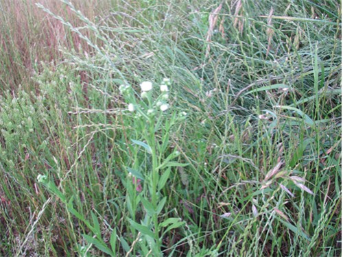 f0003174_9245534.jpg