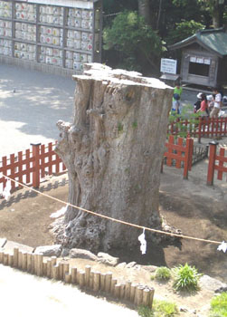 f0129875_1693624.jpg