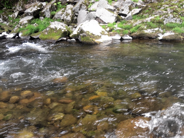 a0093677_2136217.jpg