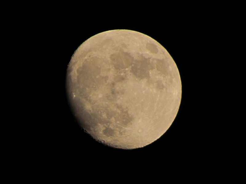 c0183777_17202316.jpg