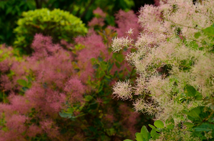 f0108478_20101646.jpg