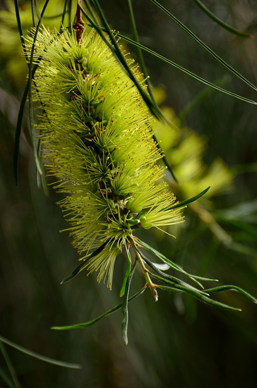 f0108478_2054092.jpg